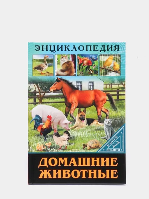 Энциклопедия для детей "В мире знаний", серия книг, твёрдый переплёт, яркие иллюстрации