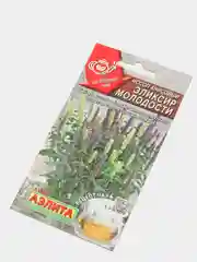 Иссоп Эликсир молодости (семена)