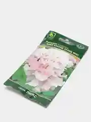 Петуния махровая Дабл каскад Орхид мист (семена)