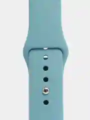 Тёмно-бирюзовый беззамковый ремешок для Apple Watch 42-44 мм