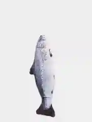 Голубой игрушка для кошек в форме рыбы с кошачьей мятой и валерьяной