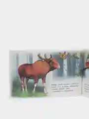 Вишнёвый книга детская о животных