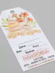 Бирка на выписку девочке