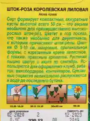 Шток роза Королевская лиловая (семена, цветы)