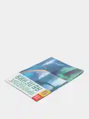 Черный обучающие книги "Овощи, Цветы, Природные явления, Деревья, Ягоды, Фрукты"