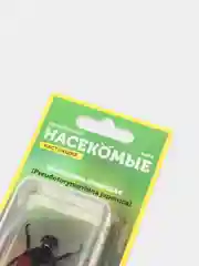 Развивающий журнал "Жуки и Пауки. Бронзовка японская", выпуск №4
