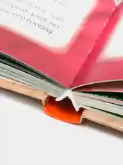 Книга Проф-Пресс детская подарочная "Сказки зарубежных писателей" 192 стр. 235х288мм