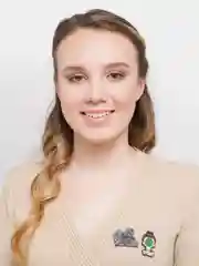 Черный деревянные значки "Искусство"