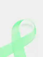 Лайм репсовая лента однотонная цветная