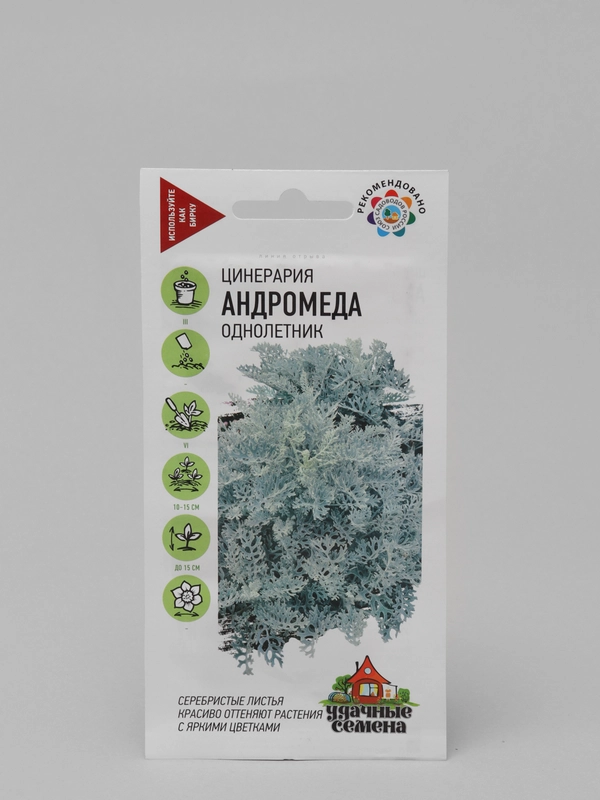 Семена, цинерария "Андромеда"