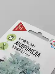 Семена, цинерария "Андромеда"