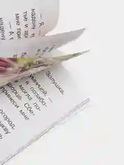 Шарль Перро. Сказки. Для самостоятельного чтения