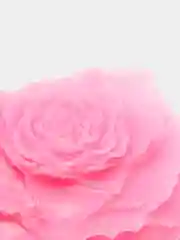 Молд силиконовый 3D