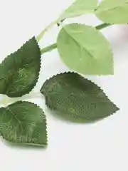 Кремовый искусственные розы, пионы и камелии