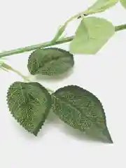 Белый искусственные розы, пионы и камелии