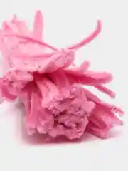 Конфетный синельная проволока (моно цвета)