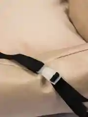 Серый металлик автолежак для собак
