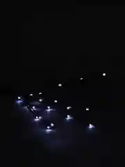 Белый веточка в вазу