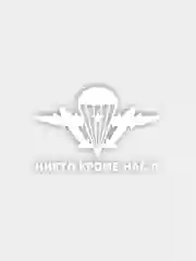 Наклейки на авто "Никто кроме нас"