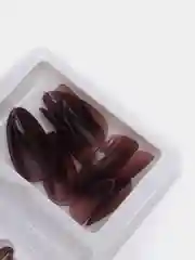 Бордовый накладные ногти с дизайном