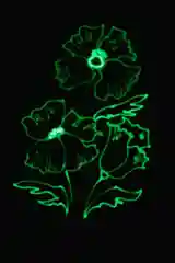 Набор для рисования Freeze Light А4