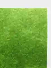 Лесной зеленый фетр, 1*1 м
