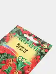 Брусника Рубин (семена,ягоды)