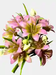 Искусственные цветы. Колокольчики (пластиковый букет). Высота: 34 см. D бутона 5 см