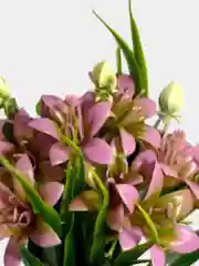 Искусственные цветы. Колокольчики (пластиковый букет). Высота: 34 см. D бутона 5 см