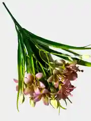 Искусственные цветы. Колокольчики (пластиковый букет). Высота: 34 см. D бутона 5 см
