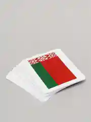Развивающие карточки для детей "Страны и флаги" (30 карточек)
