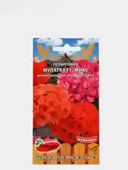Пеларгония Мулатка F1 микс коричневолистная (семена премиум класса)
