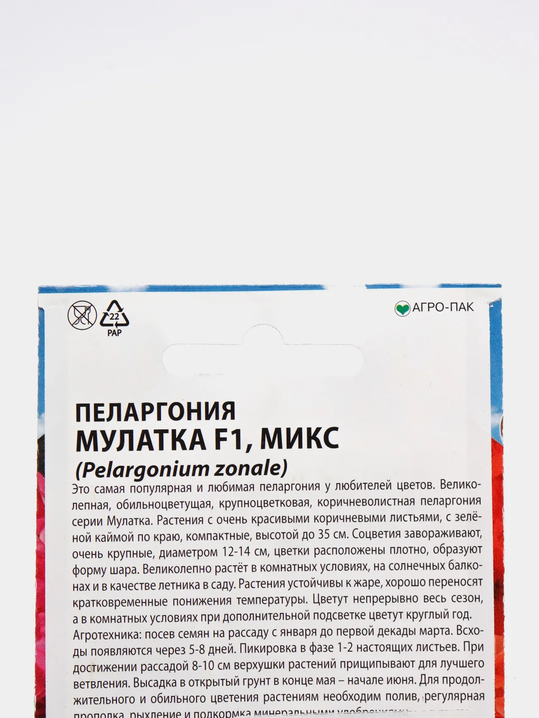 Пеларгония Мулатка F1 микс коричневолистная (семена премиум класса)