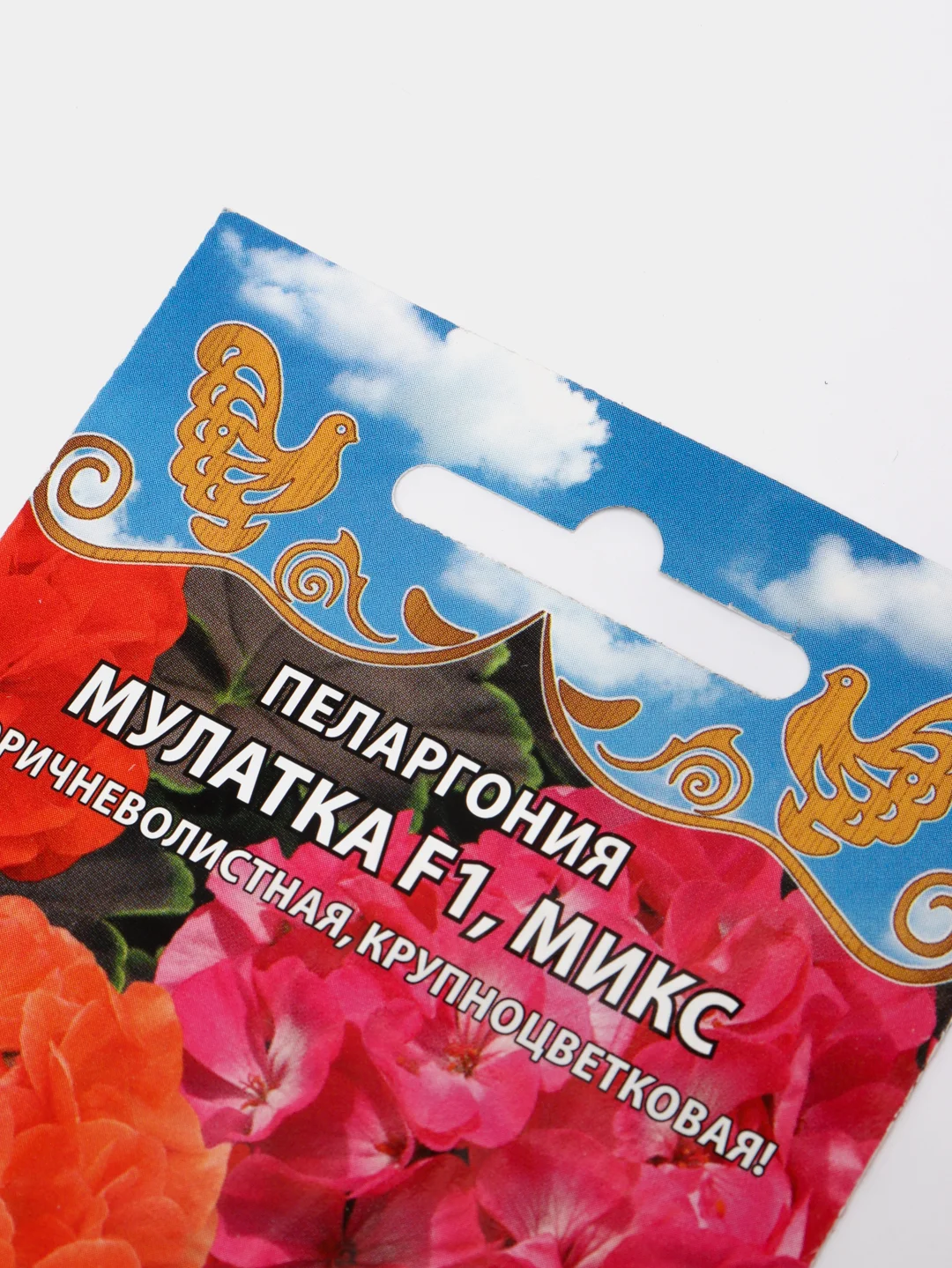 Пеларгония Мулатка F1 микс коричневолистная (семена премиум класса)
