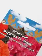 Пеларгония Мулатка F1 микс коричневолистная (семена премиум класса)