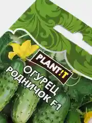 Огурец родничок F1 (семена плант)