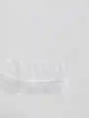 Прозрачный защитные накладки для ушей, 2 штуки