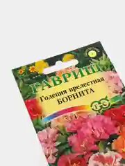 Семена годеции "Борнита"