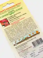 Семена годеции "Борнита"