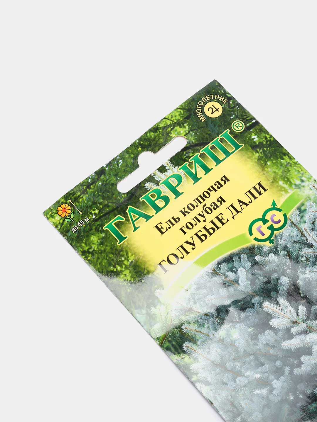 Семена, Ель "Голубые дали"