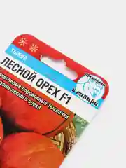 Тыква "Лесной орех", семена