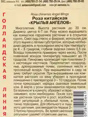Семена цветы "Роза Крылья ангелов"