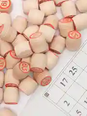 Русское лото "Для всей семьи", 24 карточки, карточка 21 х 8 см, бочонки из дерева