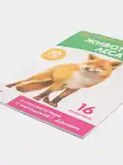 Черный обучающие книжки в игровой форме