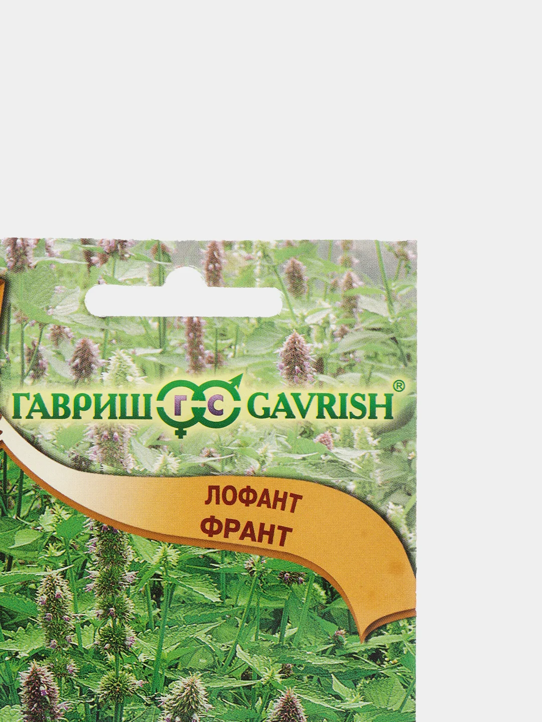 Семена "Лофант Франт"