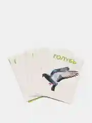 Серый обучающие книжки в игровой форме