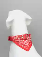 Зеленый ошейник бандана для собак и кошек