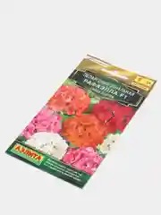 Пеларгония Рафаэлла (семена,цветы)