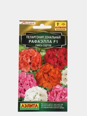 Пеларгония Рафаэлла (семена,цветы)