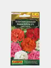 Пеларгония Рафаэлла (семена,цветы)